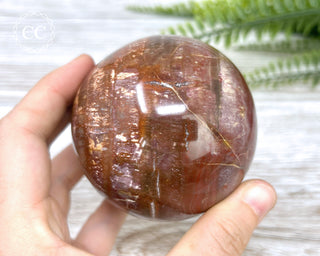 Petrified Wood Sphere #2