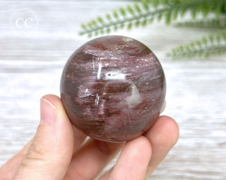 Petrified Wood Sphere #4