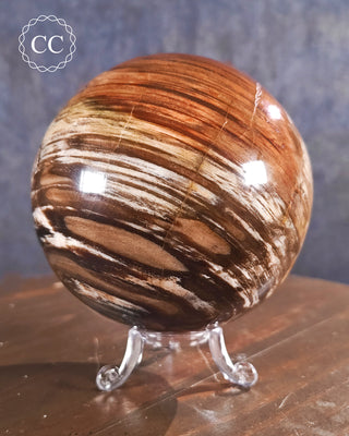 Large Petrified Wood Sphere #1