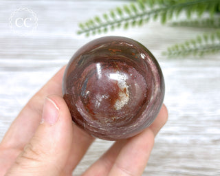 Petrified Wood Sphere #4