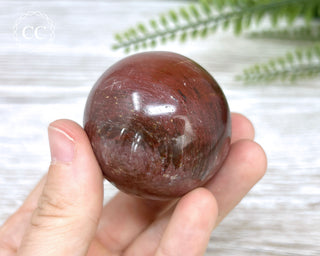 Petrified Wood Sphere #4