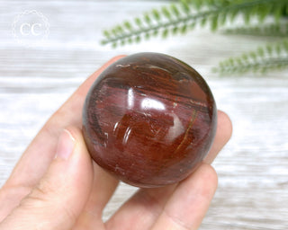 Petrified Wood Sphere #4