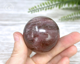 Petrified Wood Sphere #4