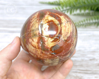 Petrified Wood Sphere #1