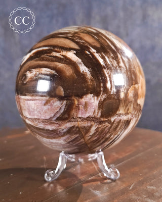 Large Petrified Wood Sphere #1