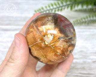 Petrified Wood Sphere #5