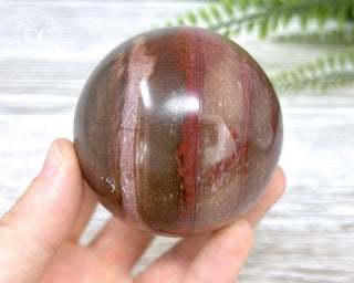 Petrified Wood Sphere #6