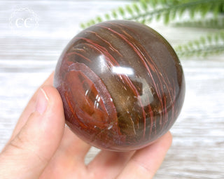 Petrified Wood Sphere #6