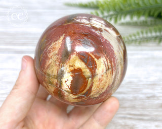 Petrified Wood Sphere #1