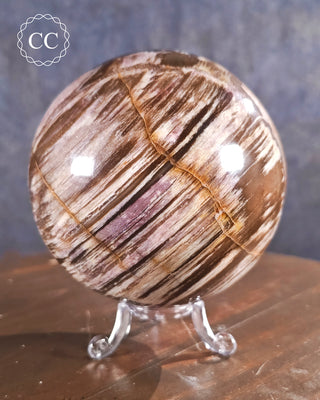 Large Petrified Wood Sphere #1