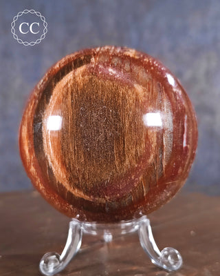 Petrified Wood Sphere #2