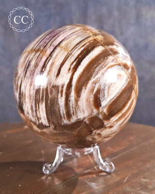 Large Petrified Wood Sphere #1
