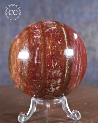 Petrified Wood Sphere #2
