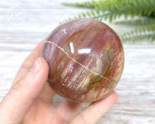 Petrified Wood Sphere #1