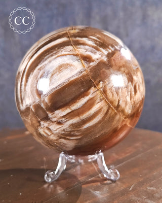 Large Petrified Wood Sphere #1