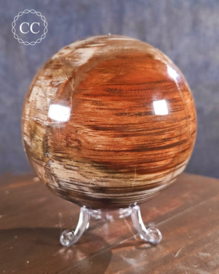 Large Petrified Wood Sphere #1