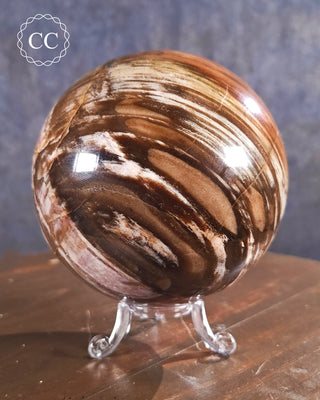 Large Petrified Wood Sphere #1
