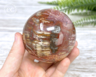 Petrified Wood Sphere #1