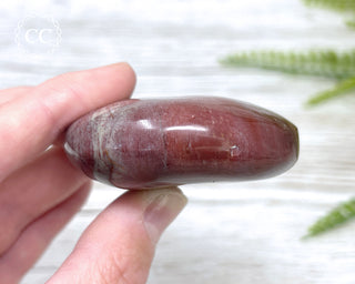 Petrified Wood Chunky Palm Stone #3