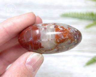 Petrified Wood Chunky Palm Stone #1