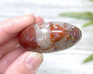 Petrified Wood Chunky Palm Stone #1