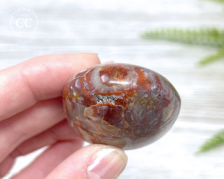 Petrified Wood Chunky Palm Stone #1