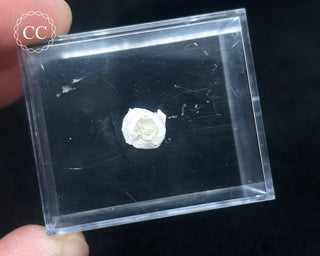 Phenakite Crystal #1