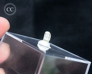 Phenakite Crystal #1