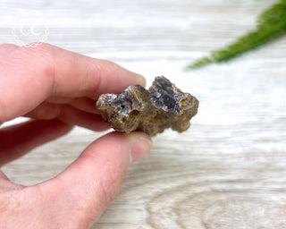 Phosphorescent Fluorite - El Potosi #3