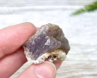 Phosphorescent Fluorite - El Potosi #6