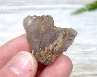 Phosphorescent Fluorite - El Potosi #8