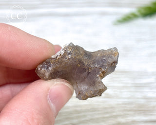 Phosphorescent Fluorite - El Potosi #8