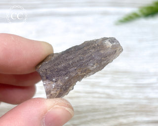 Phosphorescent Fluorite - El Potosi #13