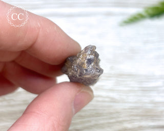 Phosphorescent Fluorite - El Potosi #13