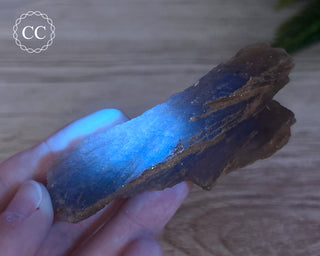 Phosphorescent Fluorite - El Potosi #3