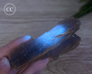 Phosphorescent Fluorite - El Potosi #3
