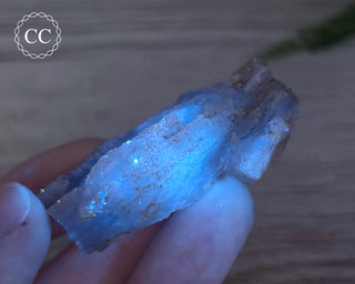 Phosphorescent Fluorite - El Potosi #4