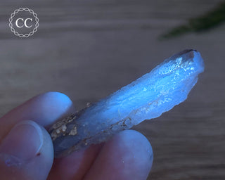 Phosphorescent Fluorite - El Potosi #5