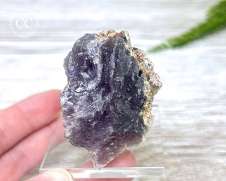 Phosphorescent Fluorite - El Potosi #1