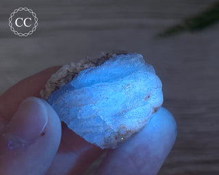 Phosphorescent Fluorite - El Potosi #6