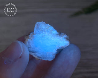 Phosphorescent Fluorite - El Potosi #6