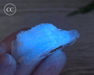 Phosphorescent Fluorite - El Potosi #7