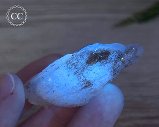 Phosphorescent Fluorite - El Potosi #7