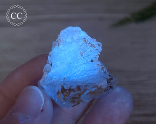 Phosphorescent Fluorite - El Potosi #8