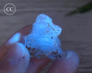 Phosphorescent Fluorite - El Potosi #8