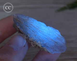 Phosphorescent Fluorite - El Potosi #10