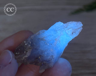 Phosphorescent Fluorite - El Potosi #11