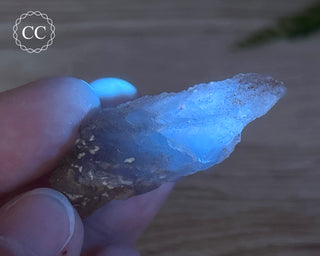 Phosphorescent Fluorite - El Potosi #11