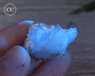 Phosphorescent Fluorite - El Potosi #12