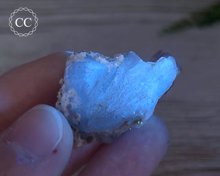 Phosphorescent Fluorite - El Potosi #12